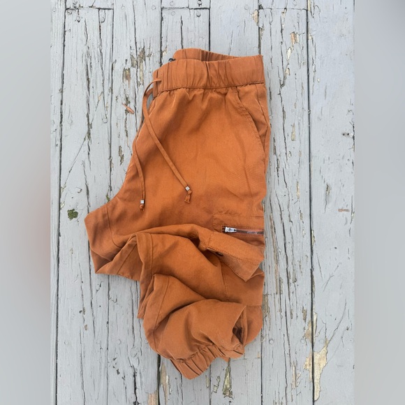 Banana Republic Rust Orange Drawstring Cargo Joggers - Picture 5 of 7